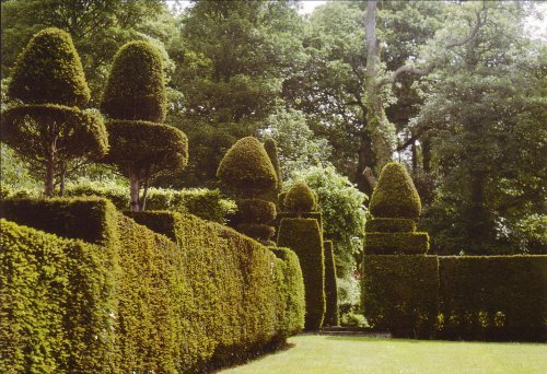 In To The Labyrinth, Brondanw Gardens