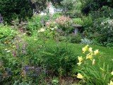 Garden Social, Helen Carroll's Garden, August 2015