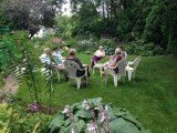 Garden Social, Helen Carroll's Garden, August 2015