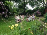Garden Social, Helen Carroll's Garden, August 2015