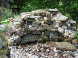 Garden Social, Line Shaver's Garden, July 2015
