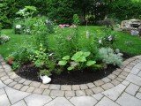 Garden Social, Line Shaver's Garden, July 2015