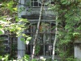 Garden Social, Joelle and Ivan Dow's Garden, June 2015